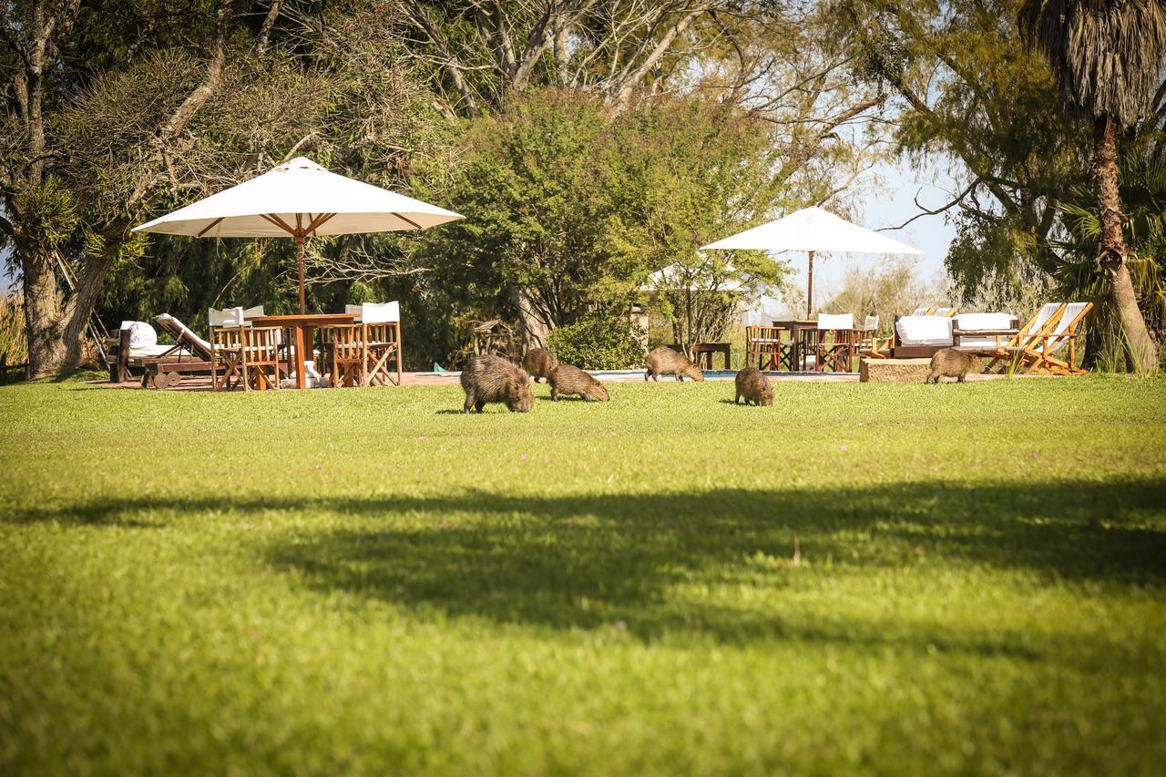 Aguape Lodge Колония-Карлос-Пеллегрини Экстерьер фото